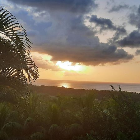 Oasis De Grande Anse Villa Deshaies Exteriör bild