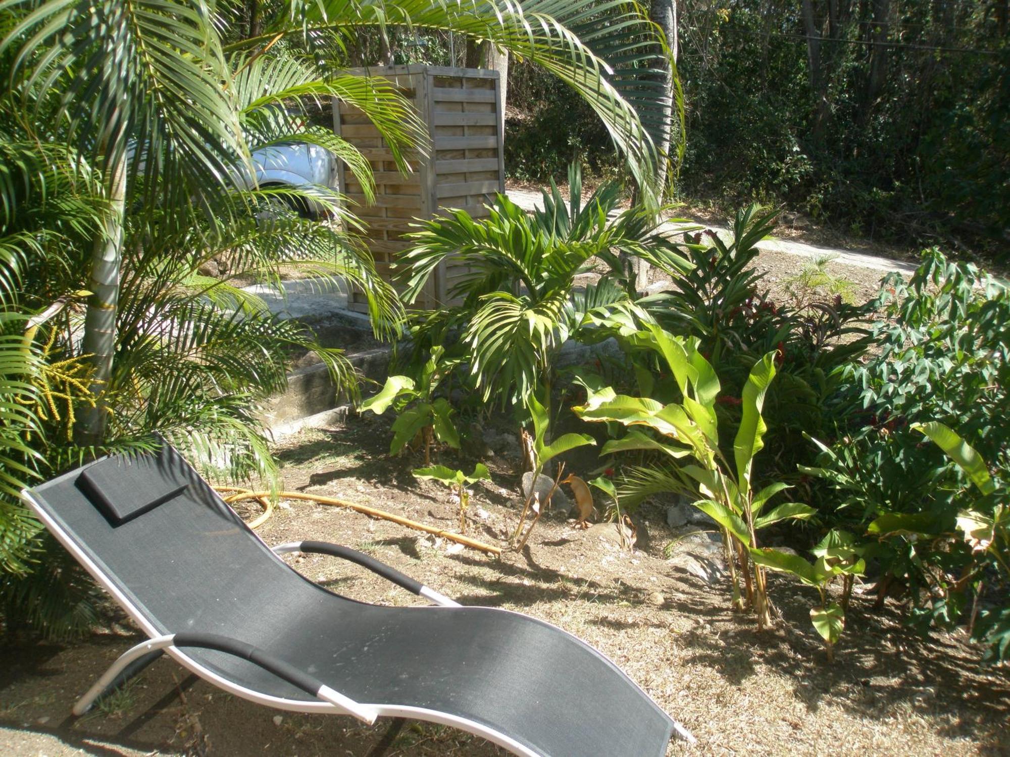 Oasis De Grande Anse Villa Deshaies Rum bild