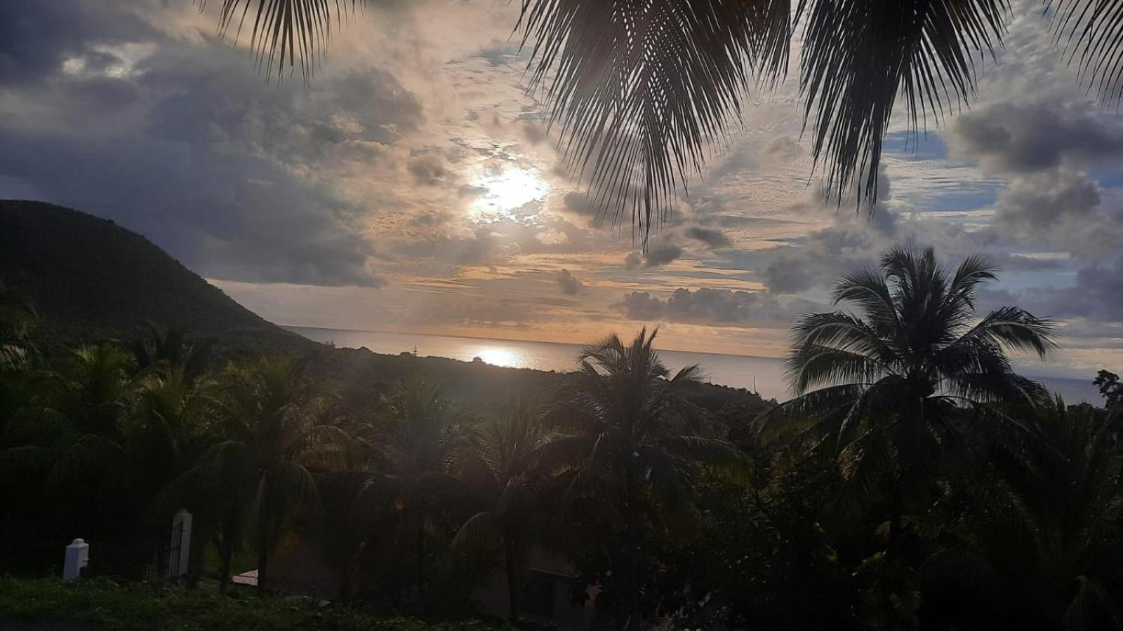 Oasis De Grande Anse Villa Deshaies Exteriör bild