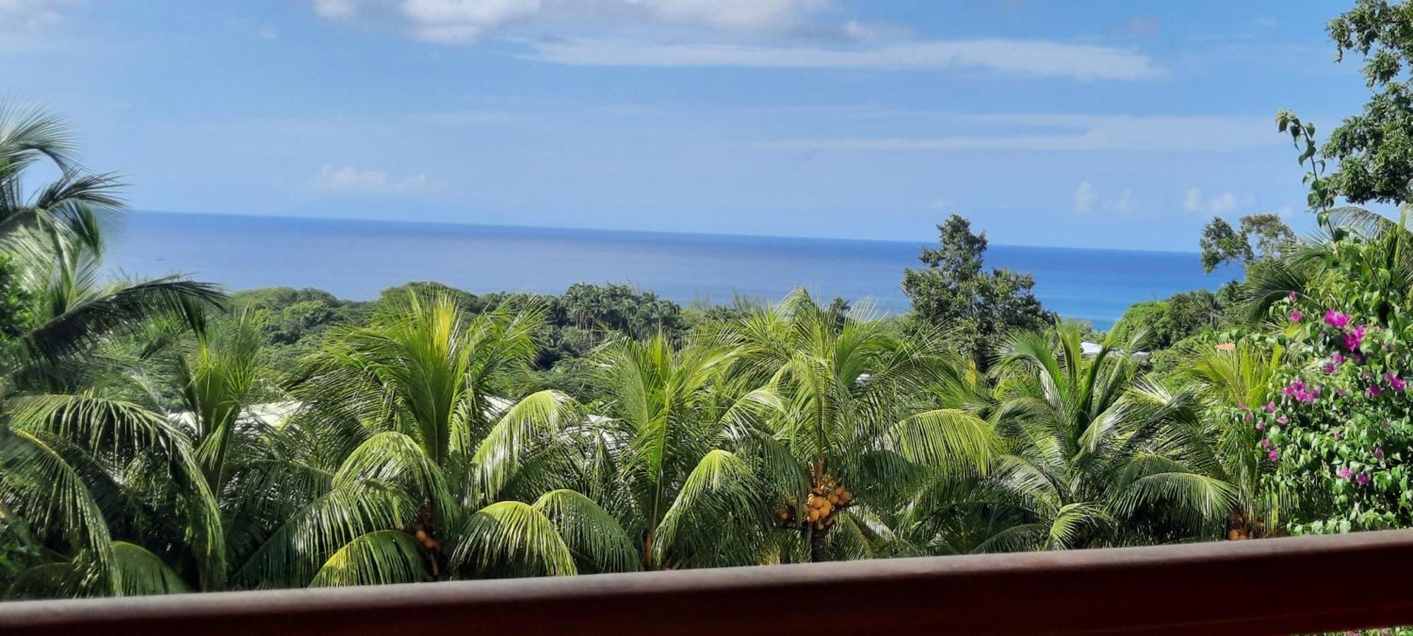Oasis De Grande Anse Villa Deshaies Exteriör bild
