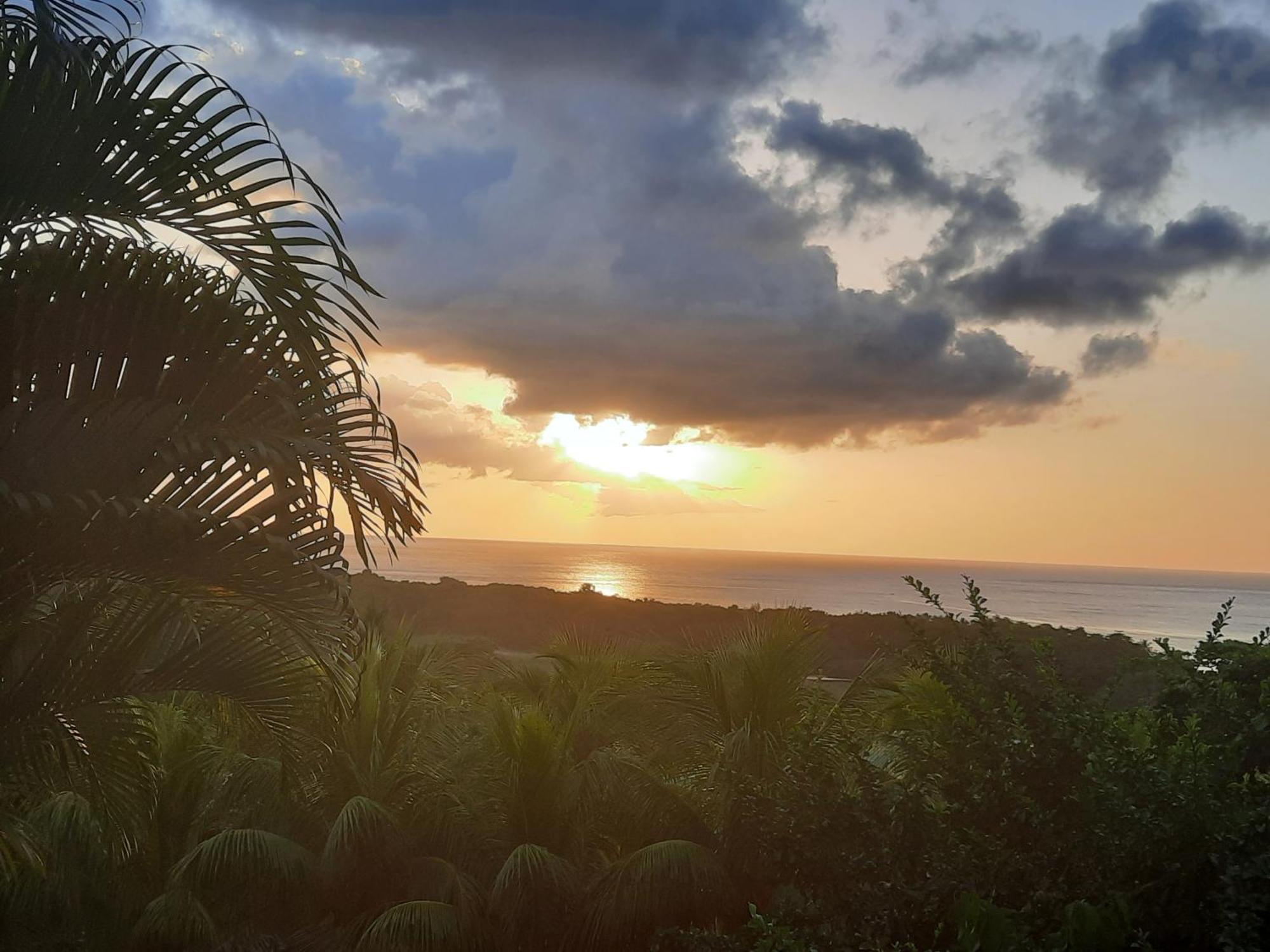 Oasis De Grande Anse Villa Deshaies Exteriör bild