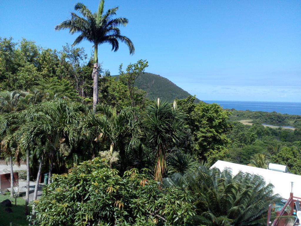 Oasis De Grande Anse Villa Deshaies Exteriör bild