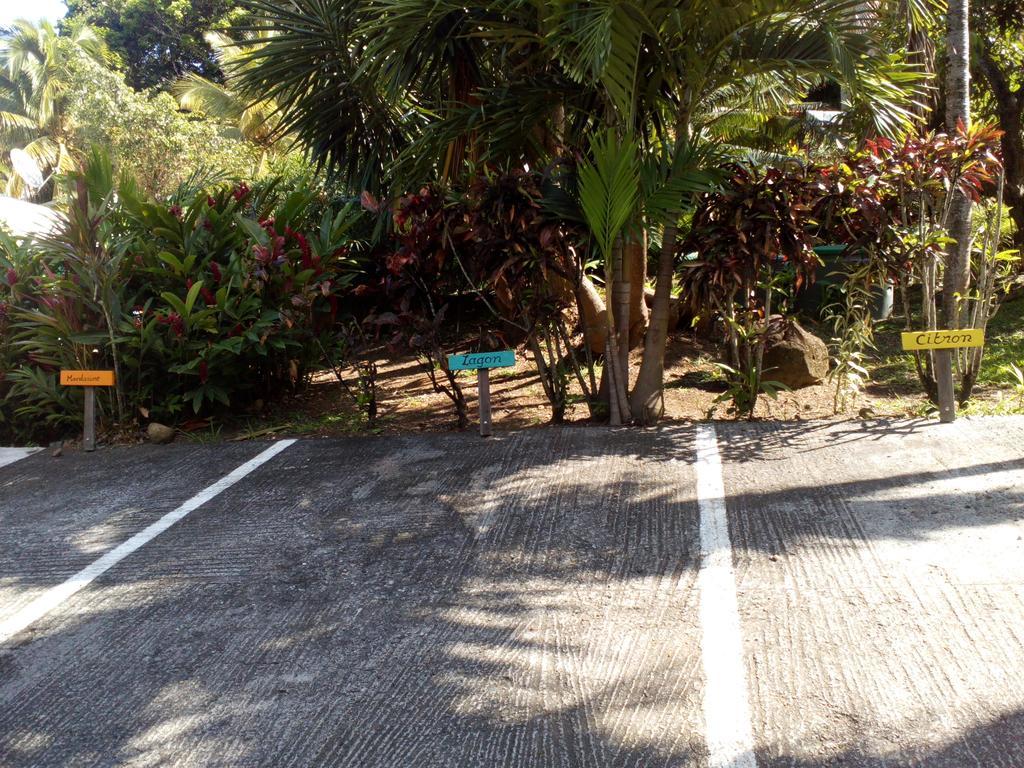 Oasis De Grande Anse Villa Deshaies Exteriör bild