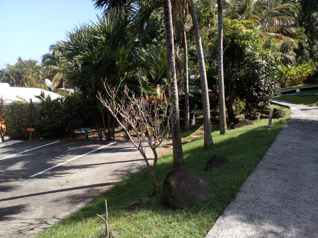 Oasis De Grande Anse Villa Deshaies Exteriör bild