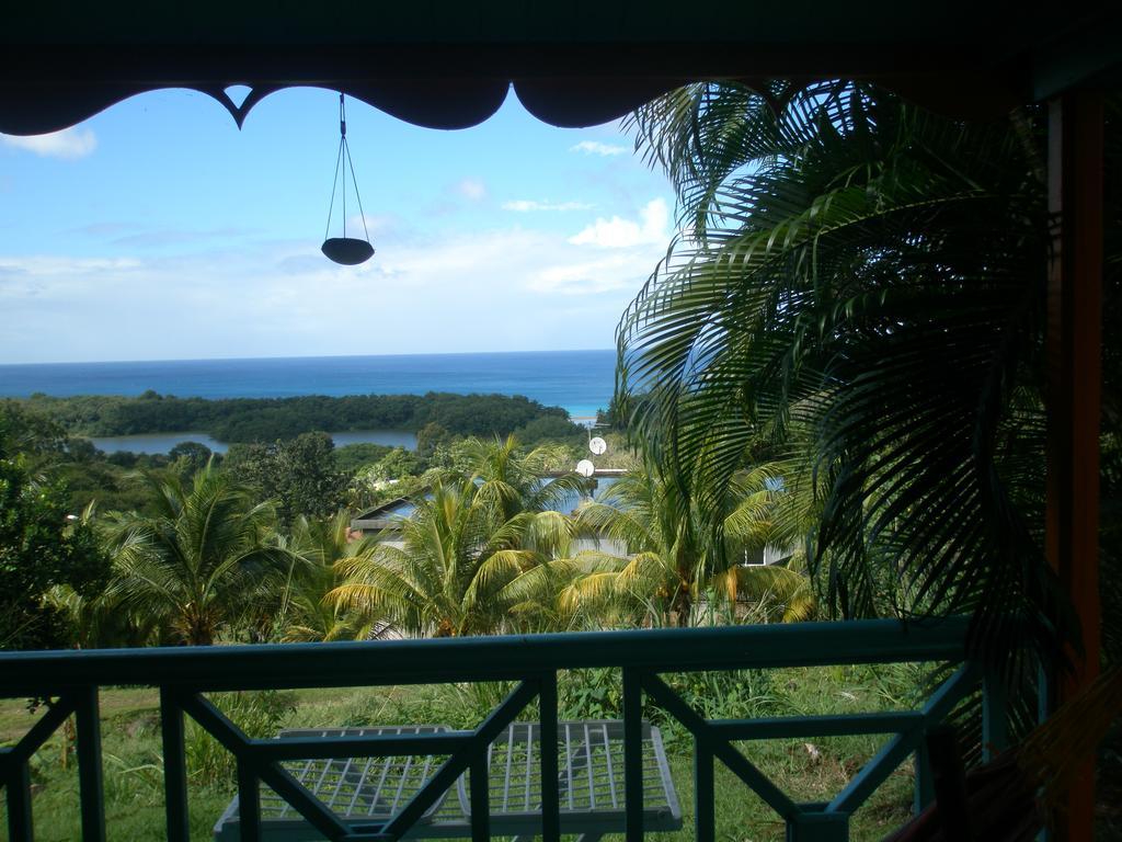 Oasis De Grande Anse Villa Deshaies Exteriör bild