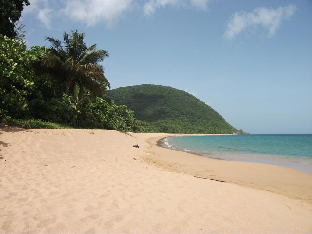 Oasis De Grande Anse Villa Deshaies Rum bild