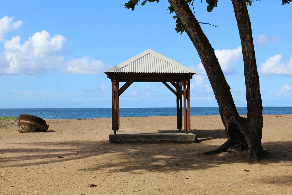 Oasis De Grande Anse Villa Deshaies Exteriör bild