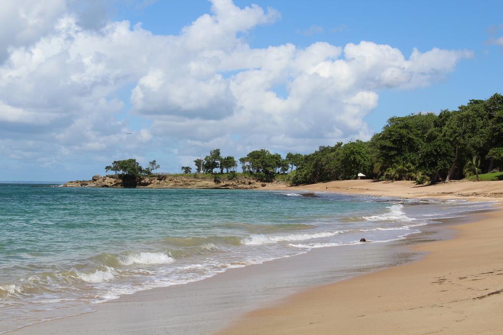 Oasis De Grande Anse Villa Deshaies Exteriör bild