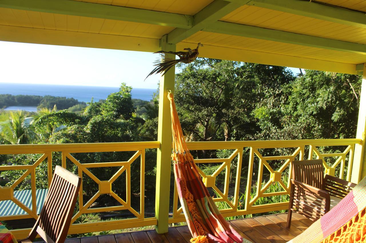Oasis De Grande Anse Villa Deshaies Exteriör bild