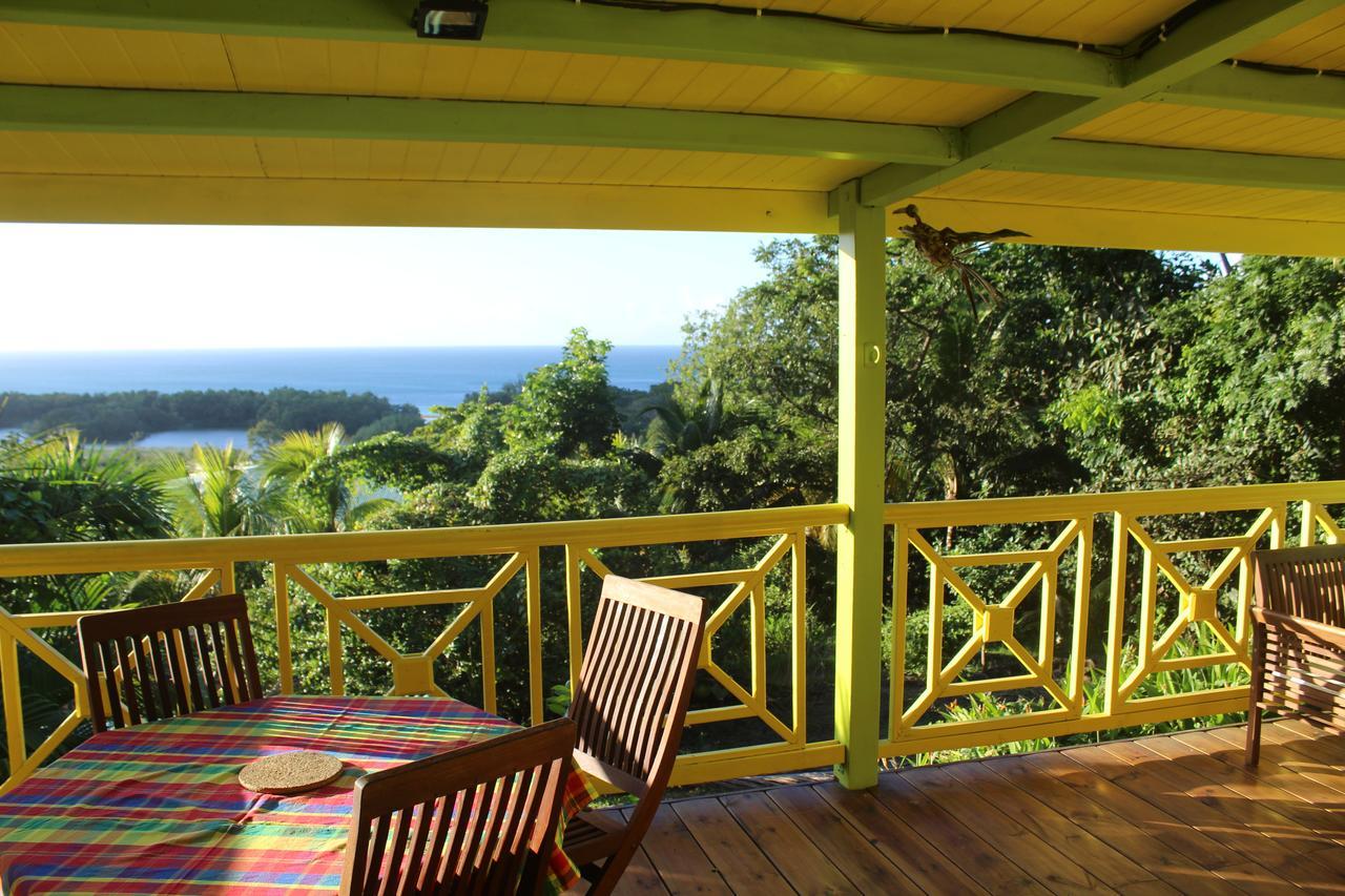 Oasis De Grande Anse Villa Deshaies Exteriör bild