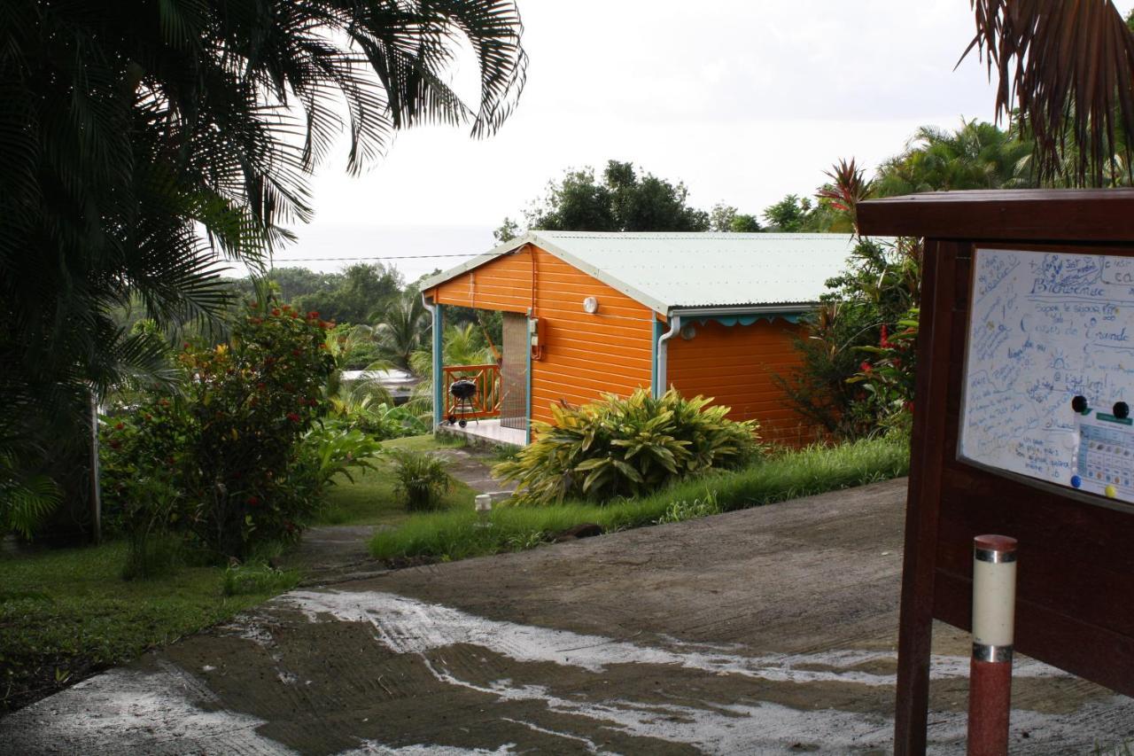 Oasis De Grande Anse Villa Deshaies Exteriör bild